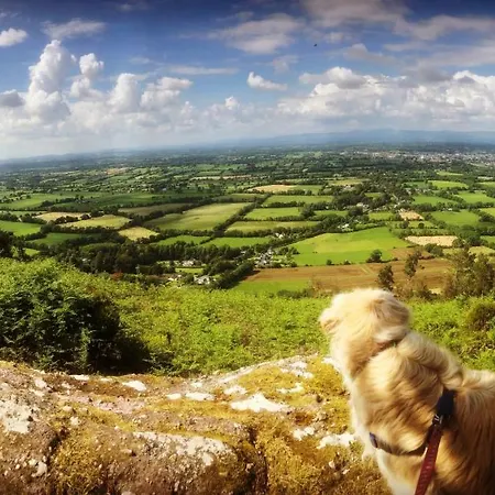 Ballyglass Gospodarstwo wiejskie Tipperary