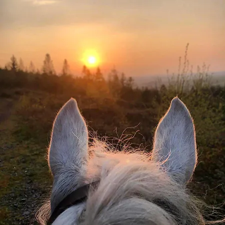 Ballyglass