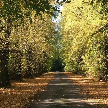 Gospodarstwo wiejskie Ballyglass *