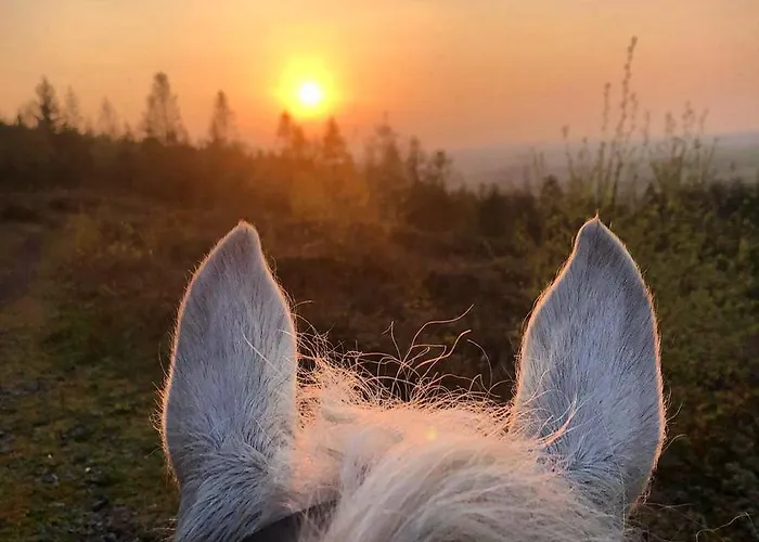 Ballyglass